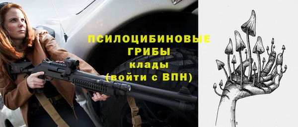 ГАЛЛЮЦИНОГЕННЫЕ ГРИБЫ Снежногорск