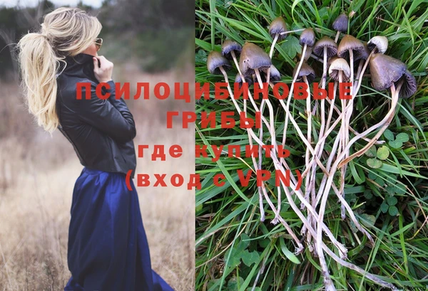 ГАЛЛЮЦИНОГЕННЫЕ ГРИБЫ Снежногорск
