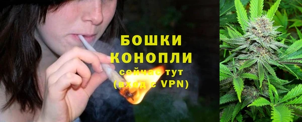 ГАЛЛЮЦИНОГЕННЫЕ ГРИБЫ Снежногорск